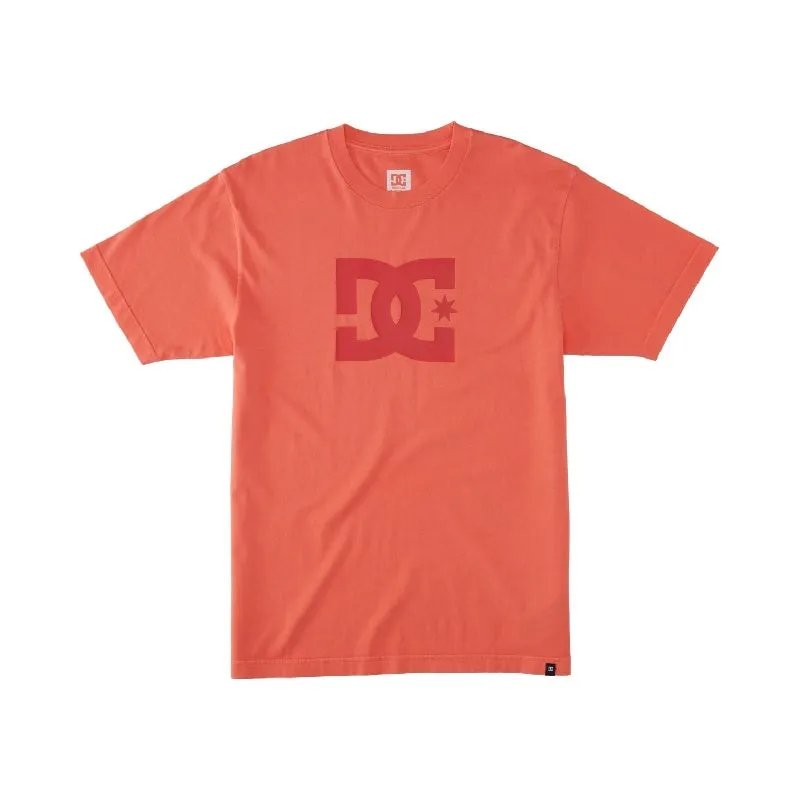  Camisetas manga corta Dc shoes Dc Star Pigment Dye Hss