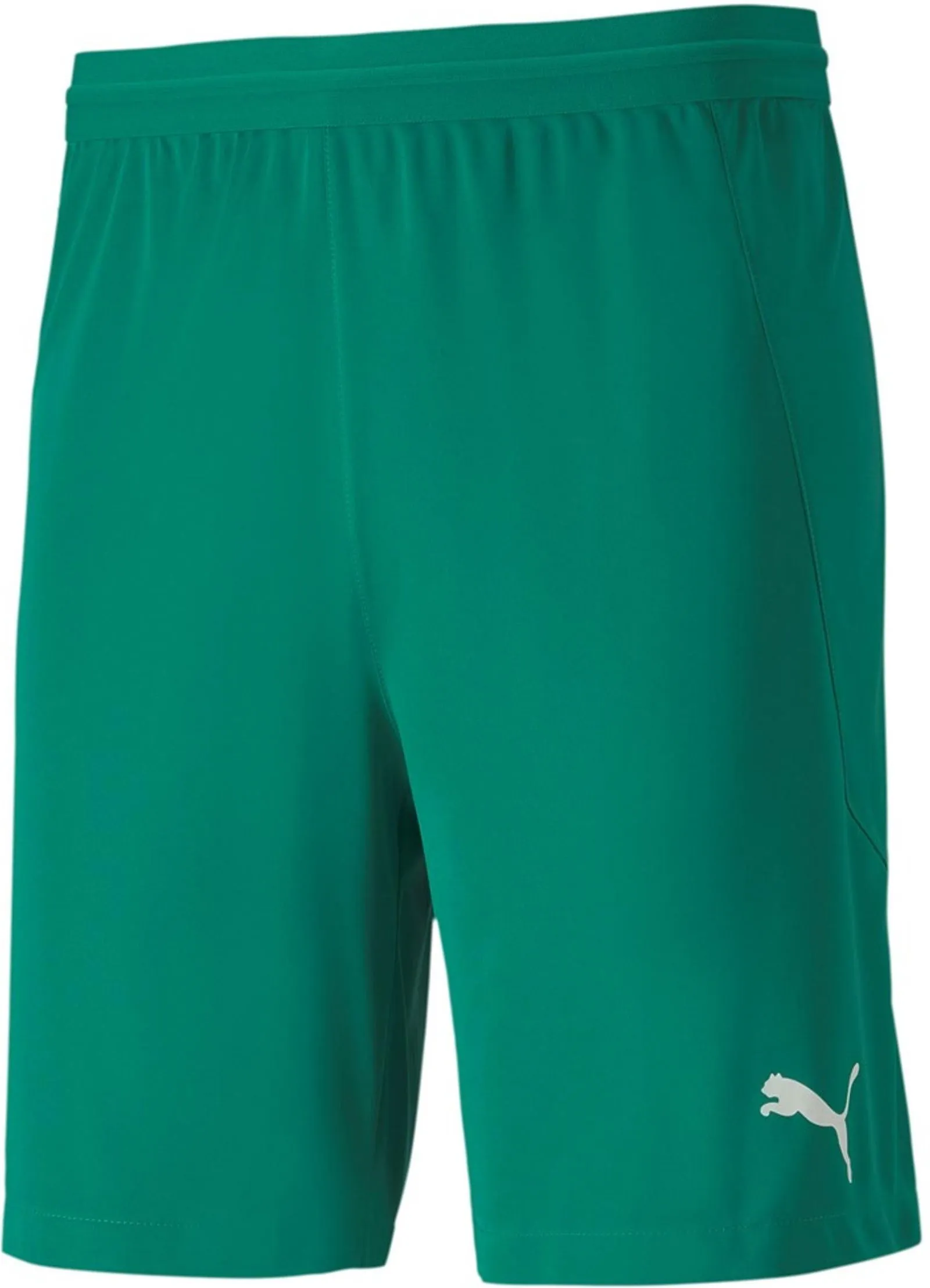 Puma teamFINAL 21 Knit Shorts